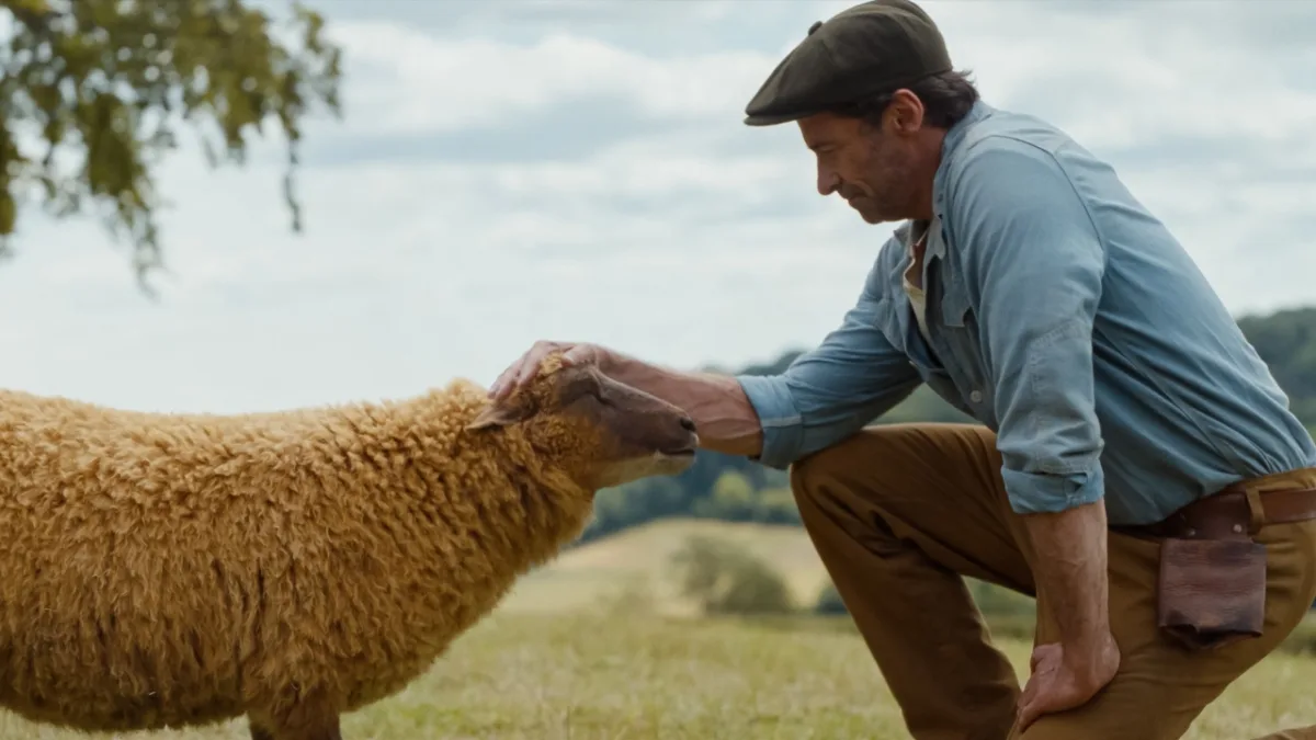 Eerste recensies van 'The Sheep Detectives' met Hugh Jackman tonen hoge waardering van critici