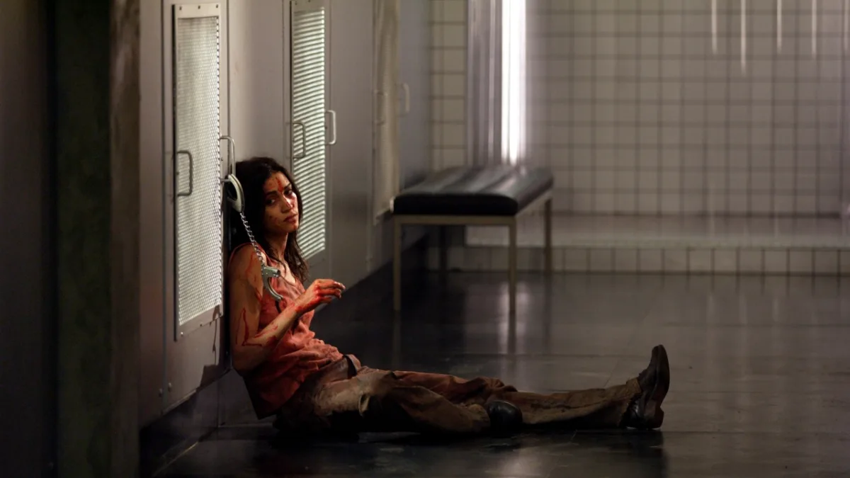 Franse horrorfilm Martyrs wordt als te extreem ervaren door veel horrorfans