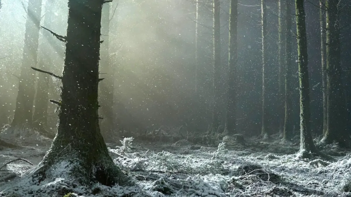 Eerste afbeelding van de nieuwe film Werwulf van Robert Eggers met Aaron Taylor-Johnson en Willem Dafoe