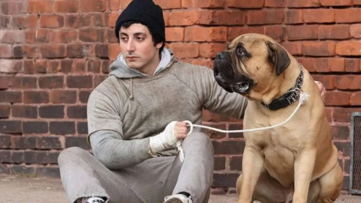 Sylvester Stallone is niet betrokken bij de film 'I Play Rocky' maar toont wel zijn steun voor het project