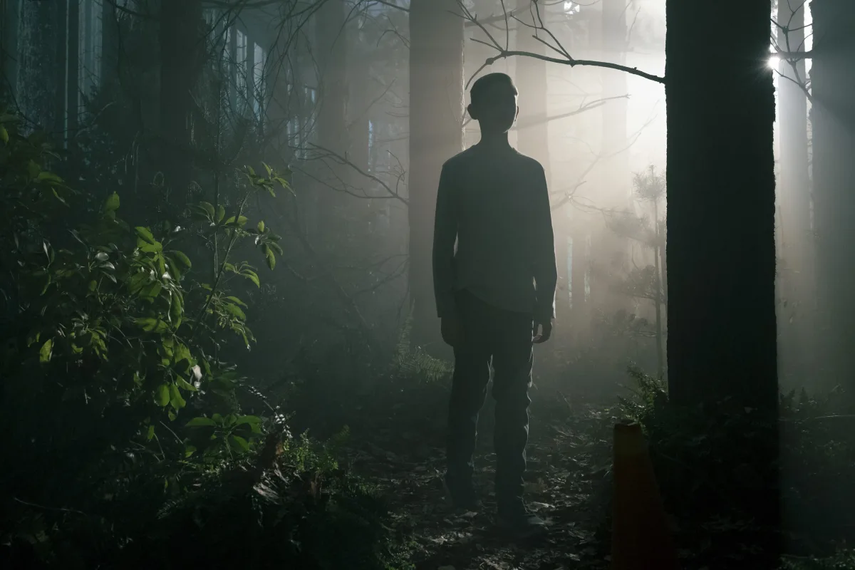 Prime Video beëindigt populaire series zoals The Boys en Good Omens